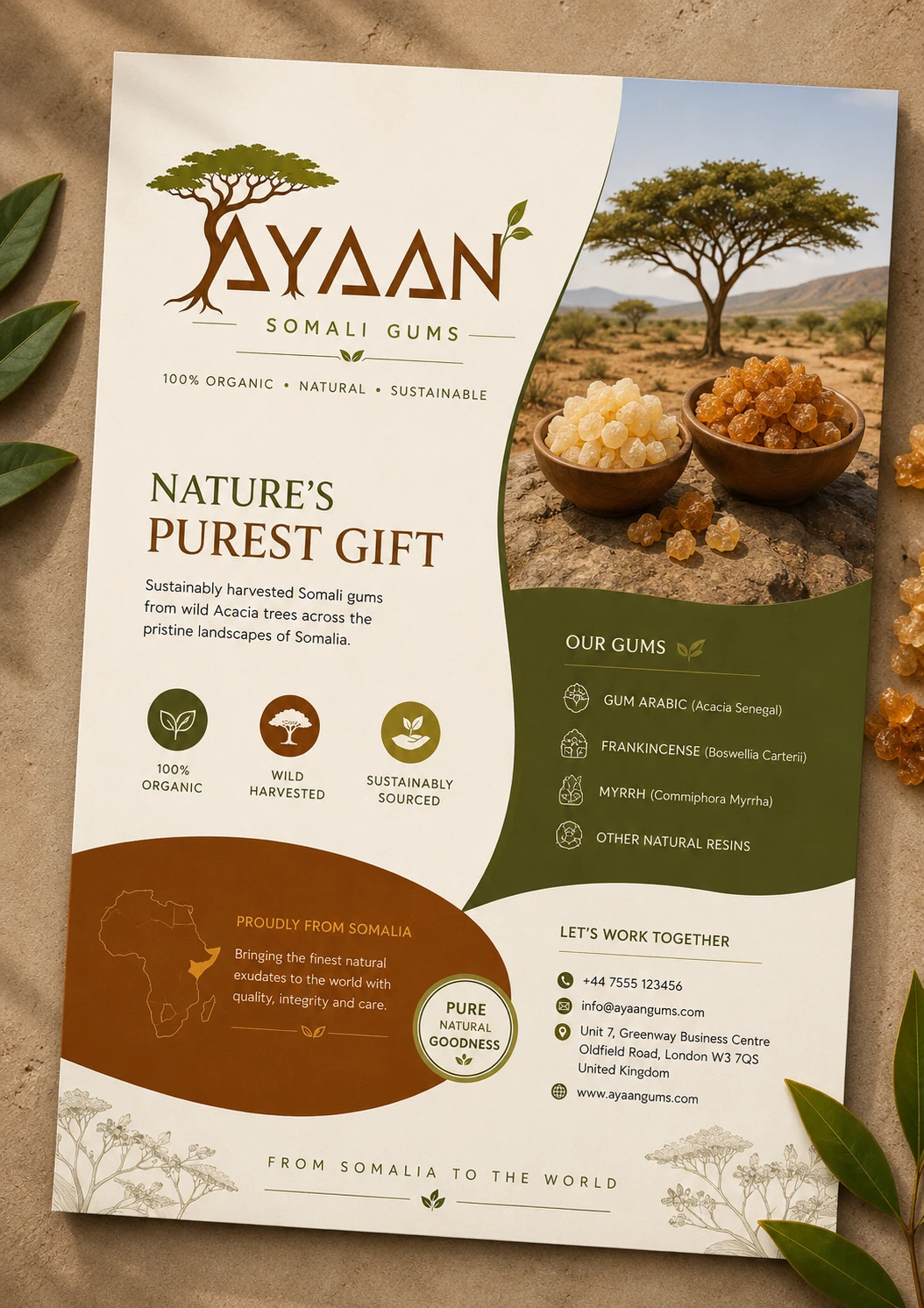 Ayaan Somali Gums: brand and packaging