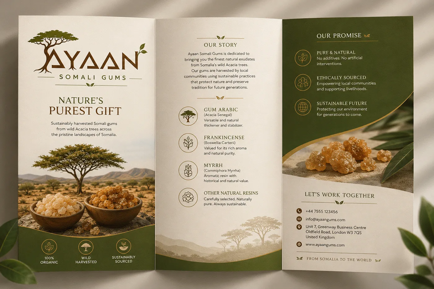 Ayaan Somali Gums: brand and packaging