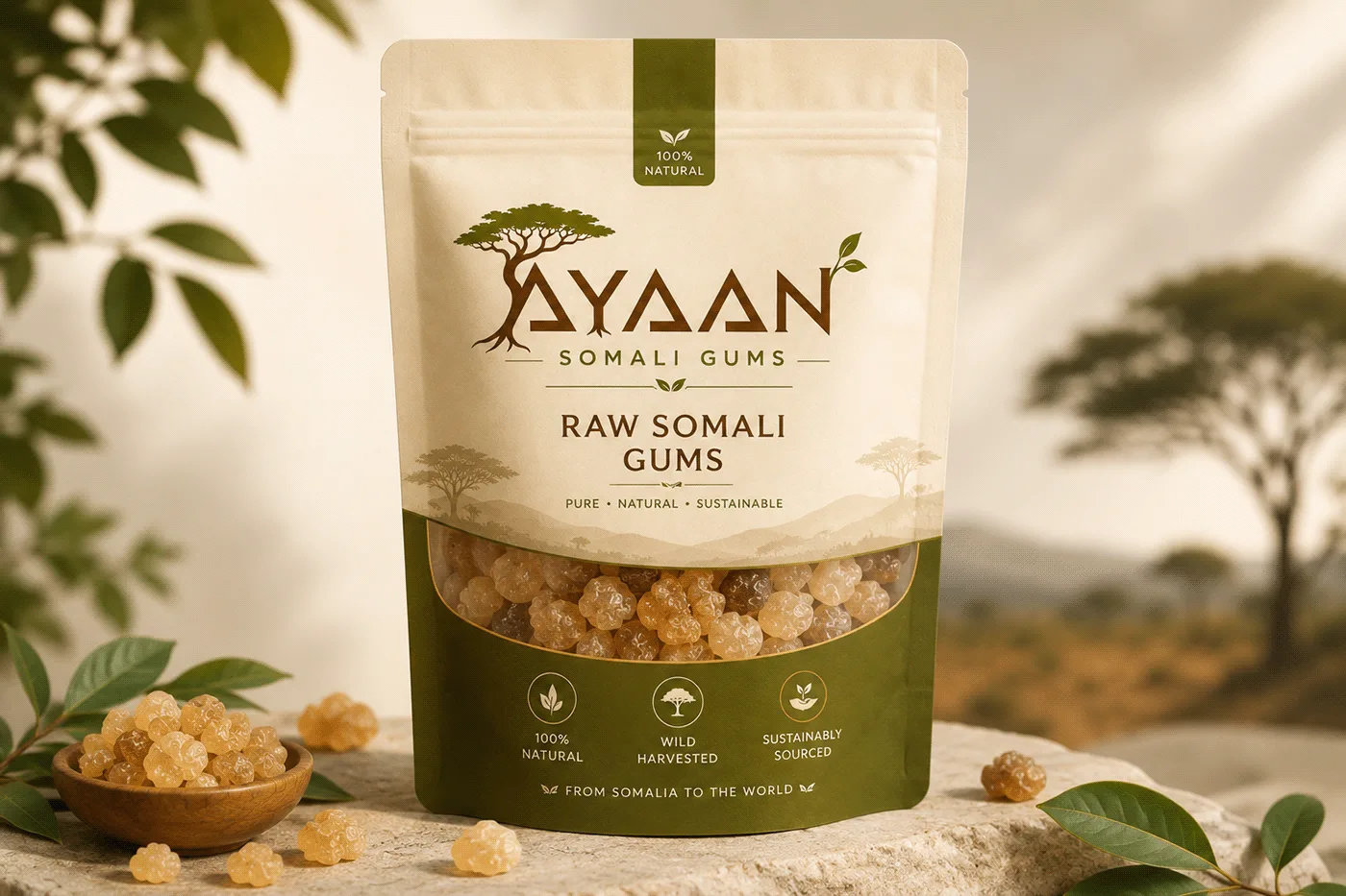 Ayaan Somali Gums: brand and packaging